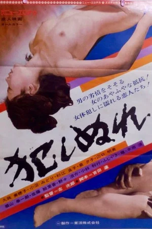 Постер: Okashi nure
