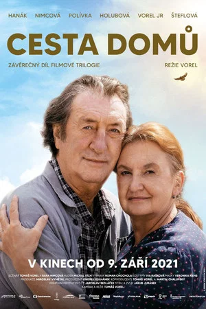 Постер: Way Home