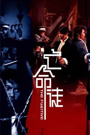 Постер: The Fugitive