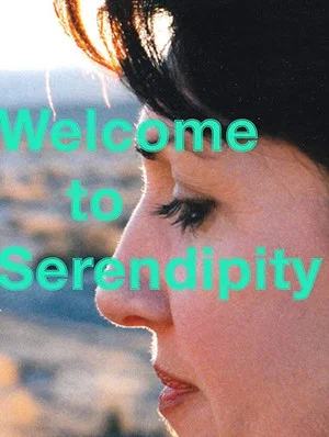 Постер: Welcome to Serendipity