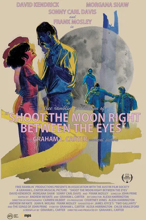 Постер: Shoot the Moon Right Between the Eyes
