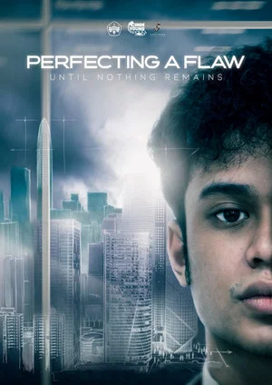 Постер: Perfecting A Flaw Until Nothing Remains