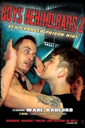 Постер: Boys Behind Bars 2
