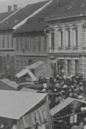 Постер: The Ljutomer Fair