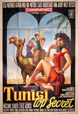 Постер: Tunisi top secret