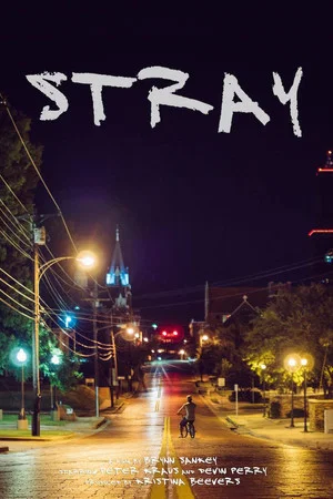 Постер: Stray