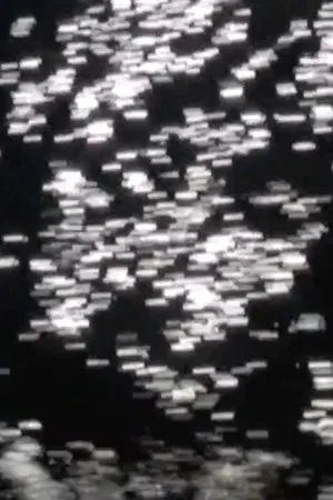Постер: Invert and All That Is Solid