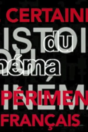 Постер: Une certaine histoire du cinéma expérimental français