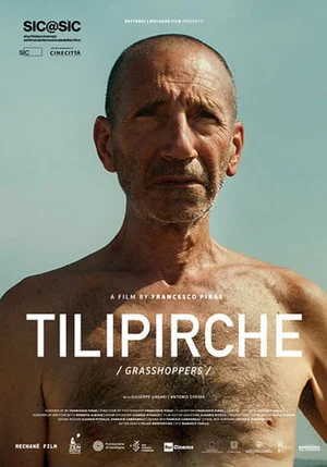 Постер: Tilipirche