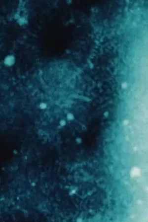 Постер: Galaxies [a love letter]