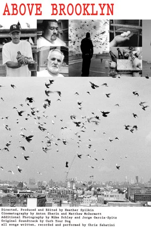 Постер: Above Brooklyn