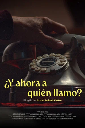 Постер: ¿Y ahora a quién llamo?
