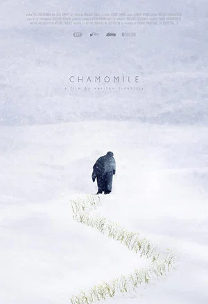 Постер: Chamomile