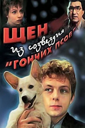 Постер: Щен из созвездия «Гончих псов»