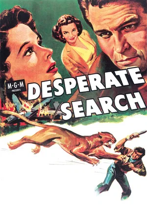 Постер: Desperate Search