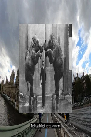 Постер: When Elephants Come to Town