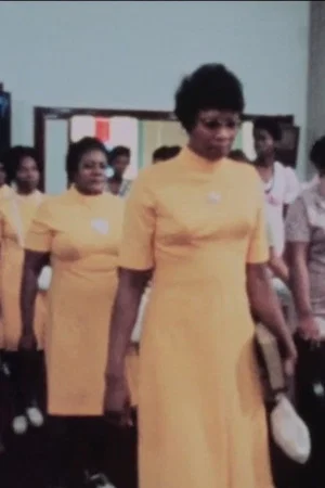 Постер: Two Black Churches