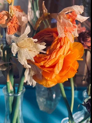 Постер: Blooming