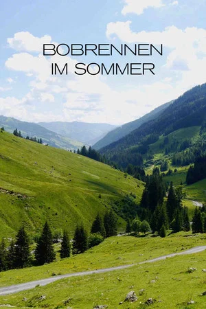 Постер: Bobrennen im Sommer