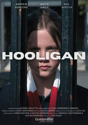 Постер: Hooligan