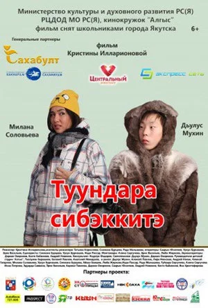 Постер: Туундара сибэккитэ