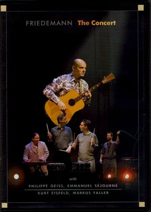 Постер: Friedemann - The Concert