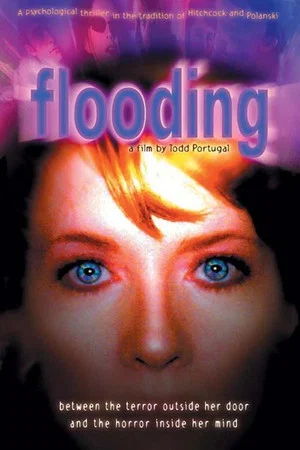 Постер: Flooding