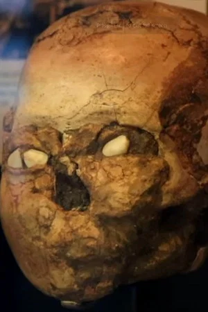 Постер: Jericho: The First City on Earth?