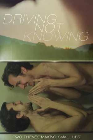 Постер: Driving Not Knowing