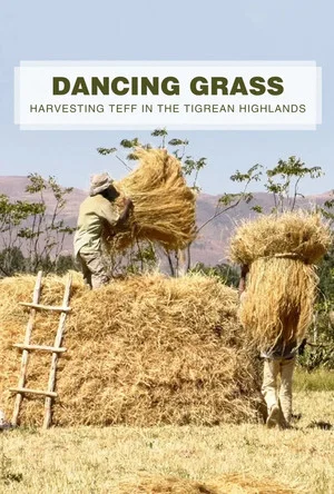 Постер: Dancing Grass: Harvesting Teff in the Tigrean Highlands