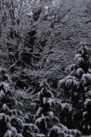 Постер: Snow Film