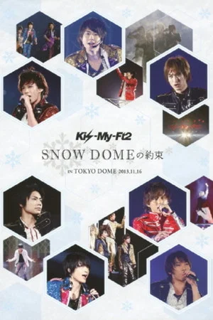 Постер: SNOW DOME no Yakusoku in TOKYO DOME 2013.11.16