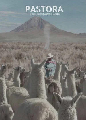 Постер: Andean Sheperdess