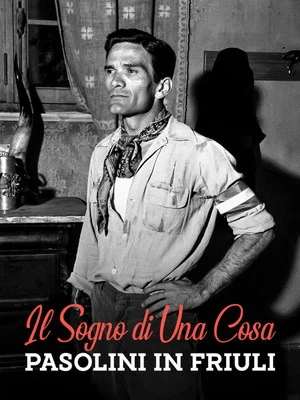 Постер: Il sogno di una cosa - Pasolini in Friuli