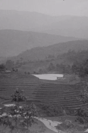 Постер: Trip to Manipur