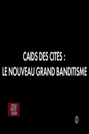 Постер: Caïds des cités: Le nouveau grand banditisme