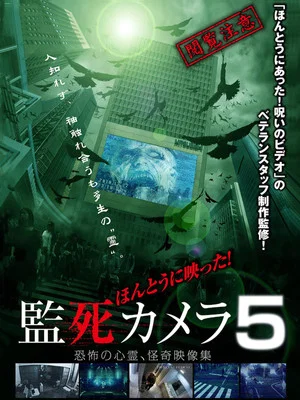 Постер: Paranormal Surveillance Camera 5