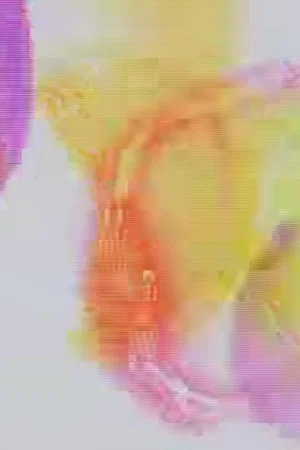 Постер: Rainbow Party