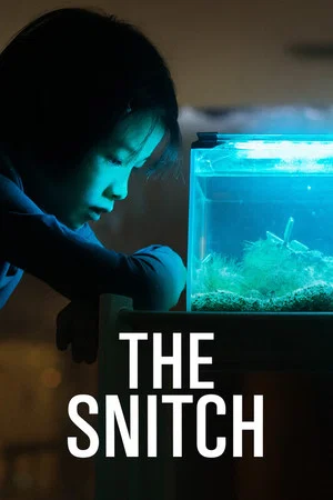 Постер: The Snitch
