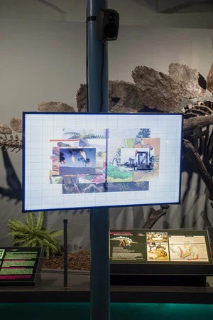 Постер: fossil:images