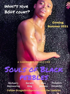 Постер: The Souls of Black Pebbles