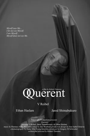 Постер: Querent