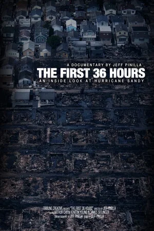 Постер: The First 36 hours: An Inside Look at Hurricane Sandy