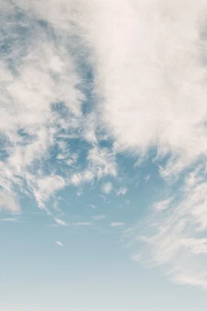 Постер: Foretaste