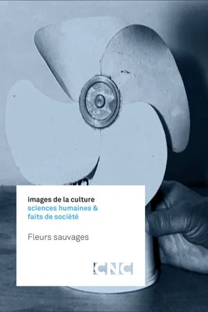 Постер: Fleurs sauvages
