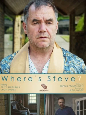 Постер: Where's Steve?