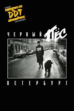 Постер: ДДТ: Чёрный пёс Петербург