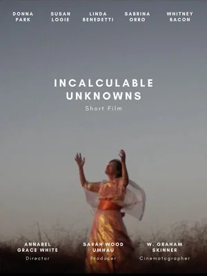 Постер: Incalculable Unknowns