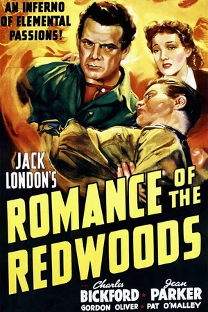 Постер: Romance of the Redwoods
