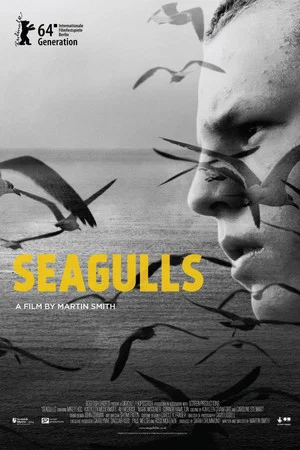 Постер: Seagulls